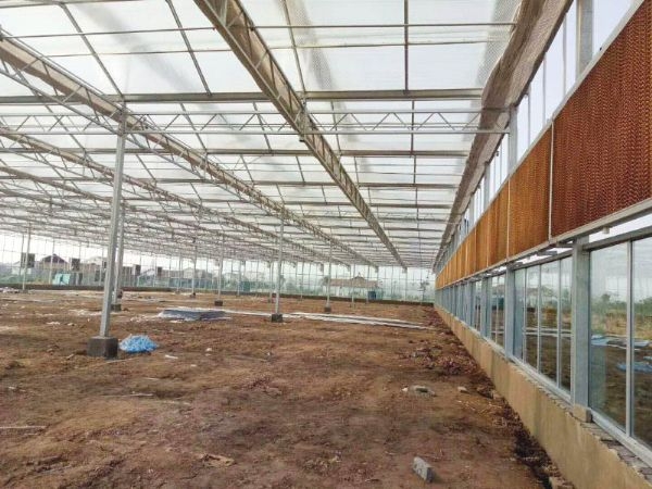 湖南常德溫室案例